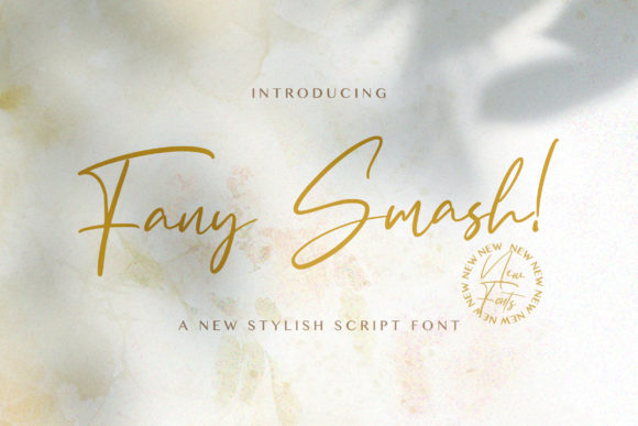 [Creativefabrica] Fany Smash Font_0.jpg